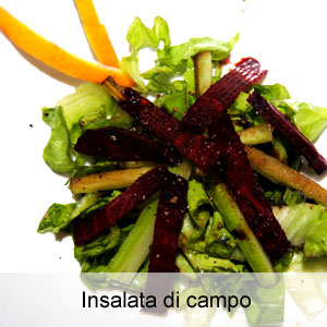 insalata con barbabietole, sedano e cicoria