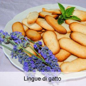 ricetta biscotti lingue di gatto