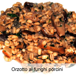 ricetta orzotto con funghi porcini