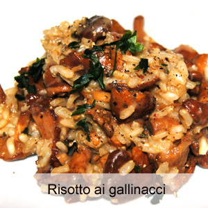 La ricetta del risotto ai gallinacci detti anche finferli o galletti